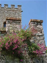 The south of Albania around the fortress of Butrint is famous for its colourful and rich vegetation.