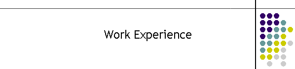 Work Experience