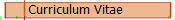  Curriculum Vitae