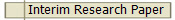  Interim Research Paper