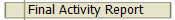 Final Activity Report