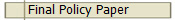  Final Policy Paper